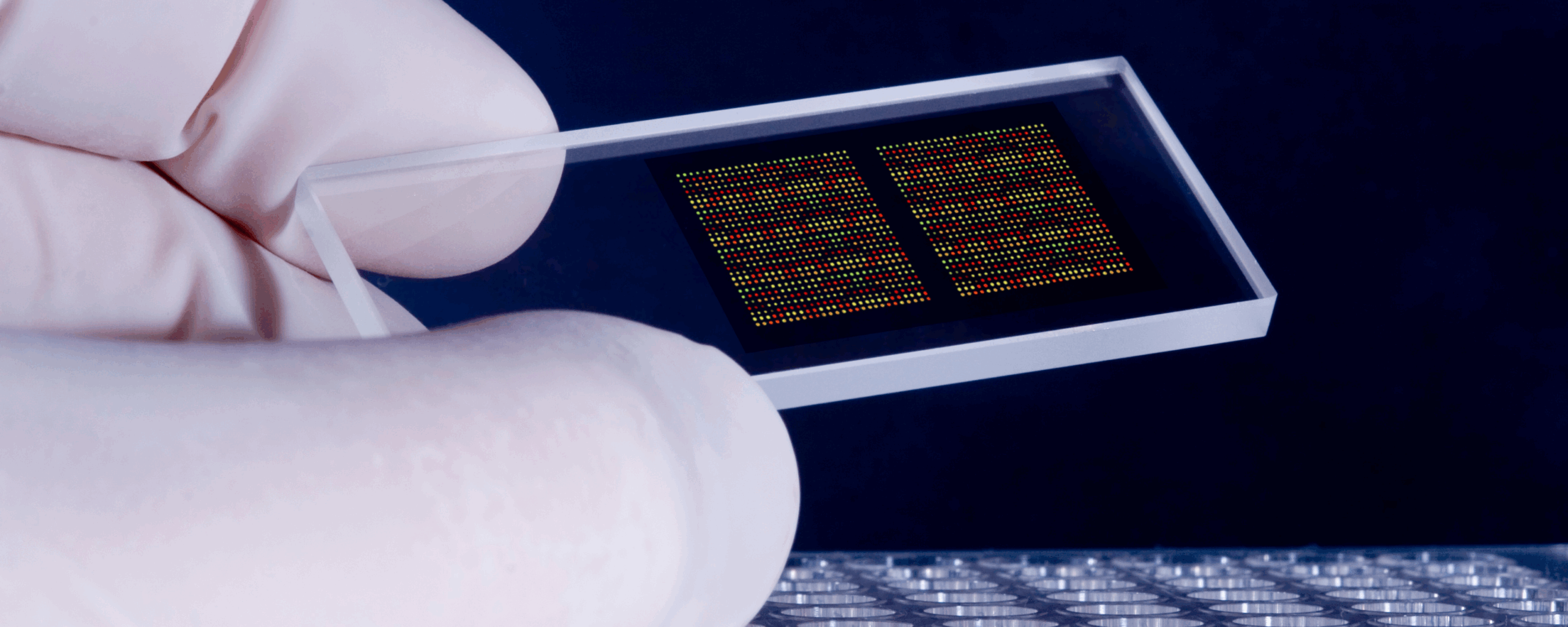 Health~Holland: Organ-on-Chip Call